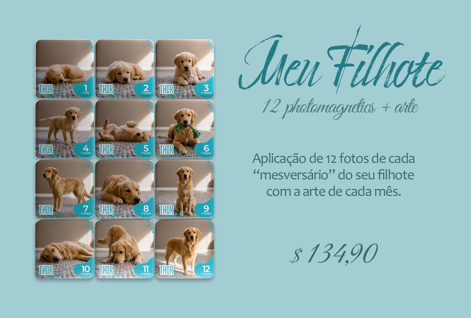 Kit Meu Filhote
